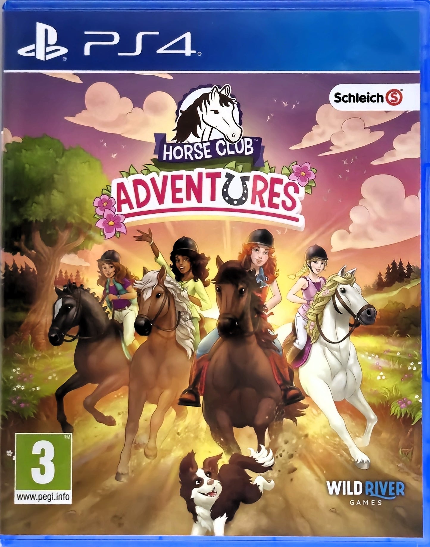 PS4 Horse Club Adventures