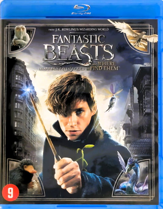 Fantastic Beasts and Where to Find Them
