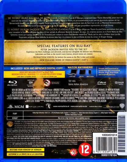 The Hobbit The Desolation of Smaug