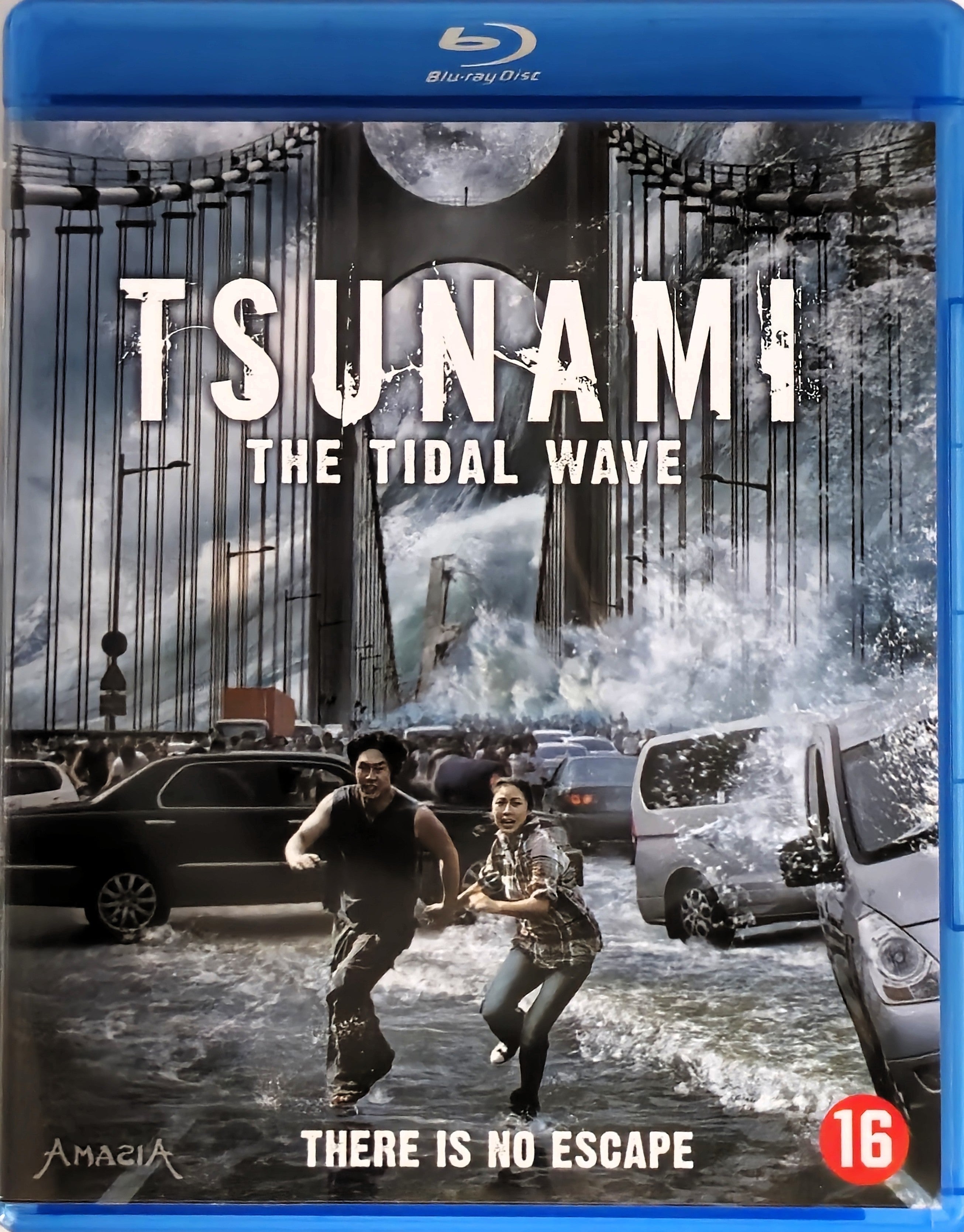Tsunami The Tidal Wave