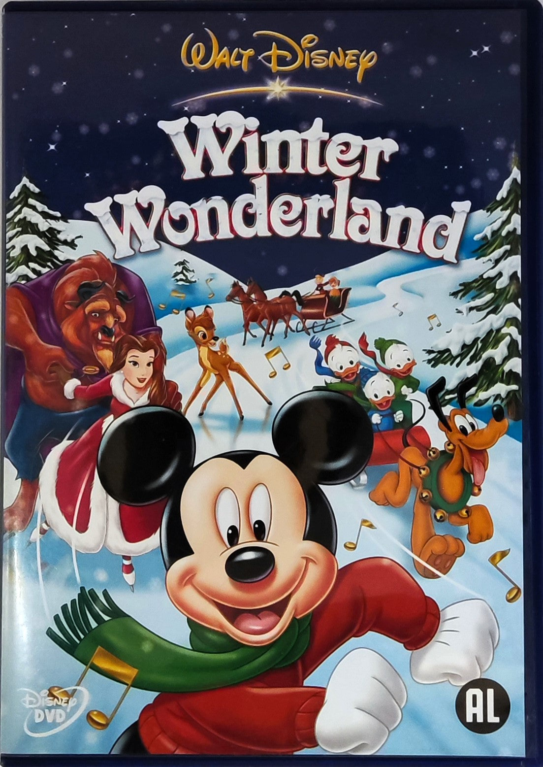 Disney's Winter Wonderland