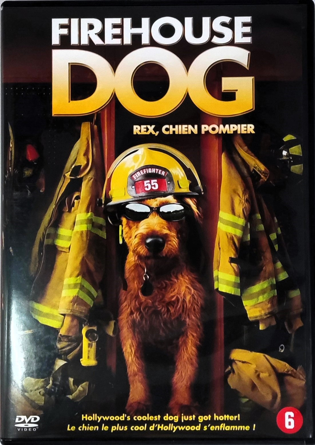 Firehouse Dog