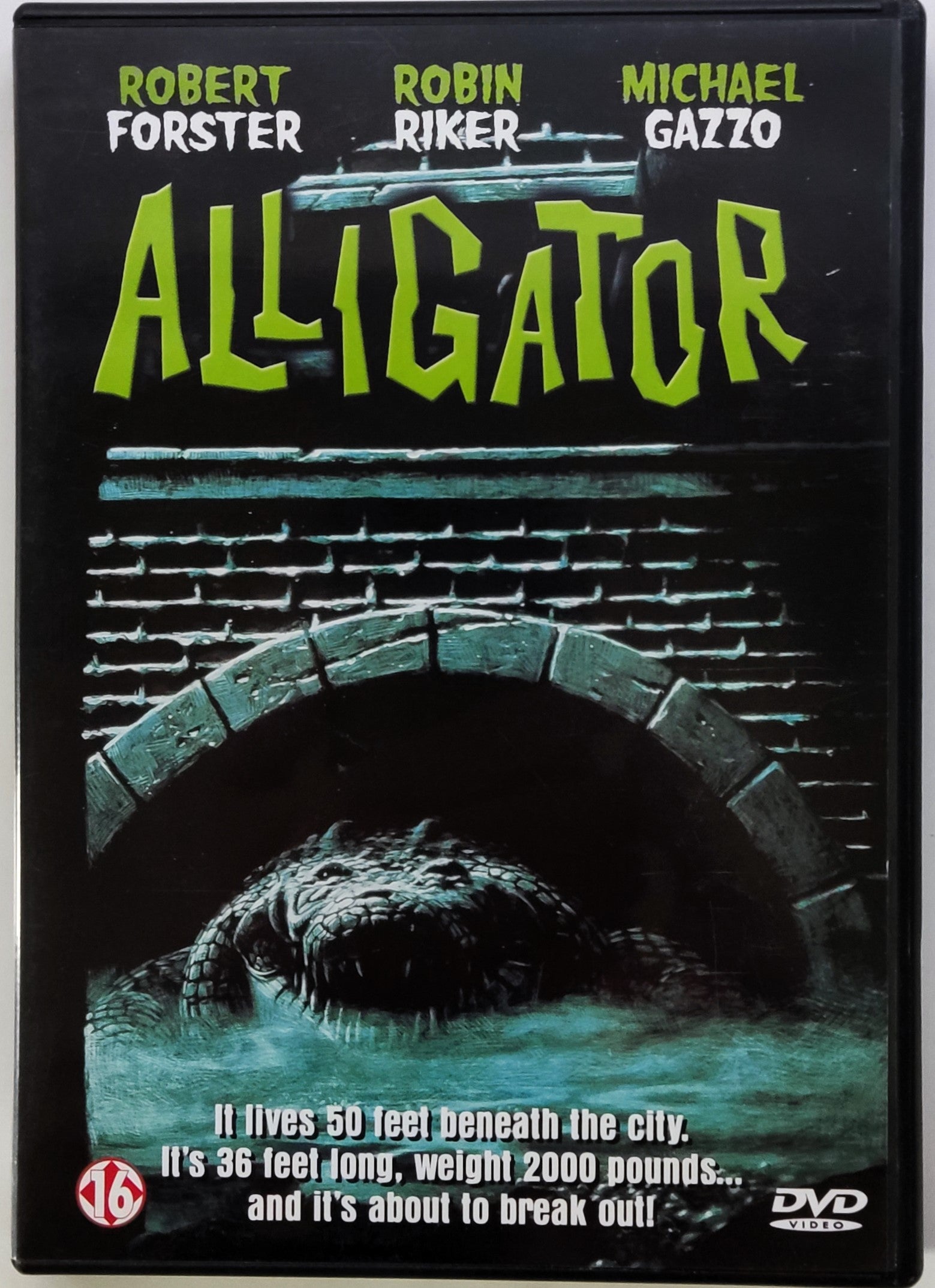 Alligator