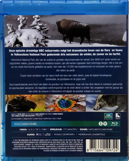 BBC Earth Yellowstone