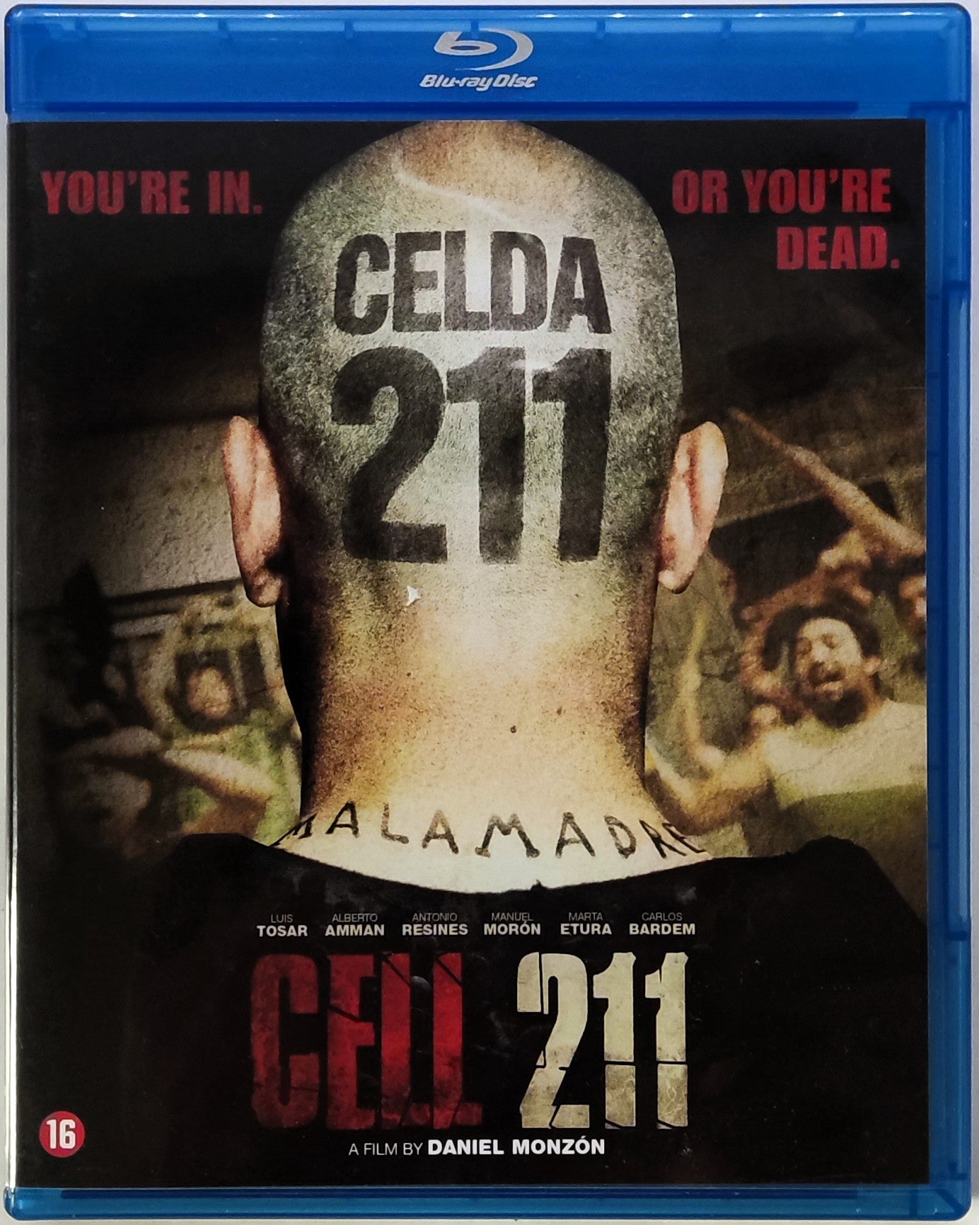 Cell 211