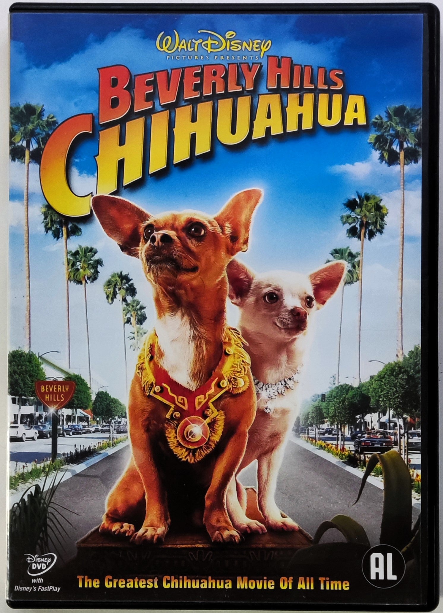 Chihuahua